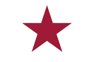 LONE STARの画像