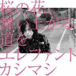 桜の花、舞い上がる道をの画像