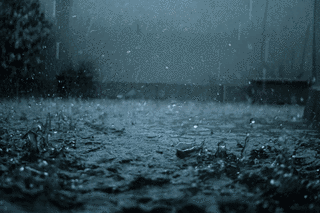 SAD RAINの画像