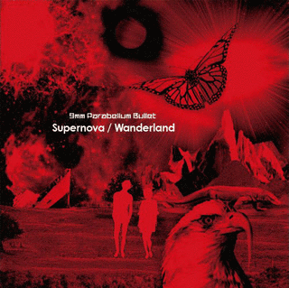 SUPERNOVA/WANDERLANDの画像