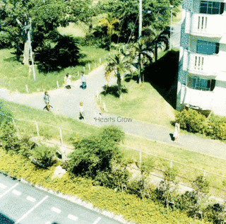 そらの画像