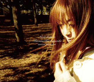 NEXT SEASON/SWEET PASSIONの画像