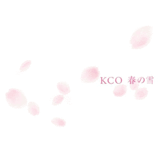春の雪の画像
