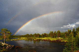RAINBOWSの画像