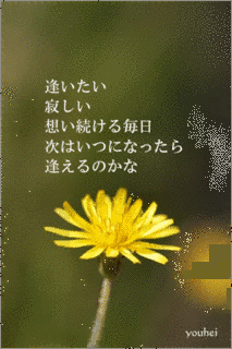 逢いたい…の画像