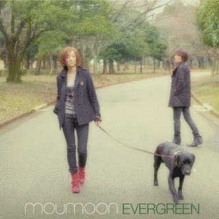EVERGREENの画像