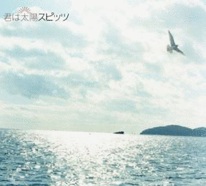 君は太陽の画像