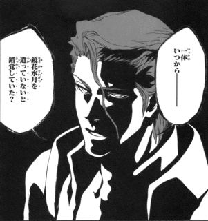 鏡花水月の画像