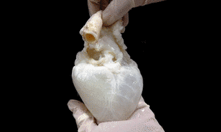 GHOST†HEARTの画像