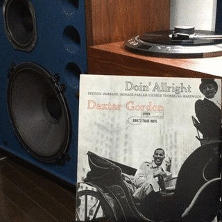 DOING ALL RIGHTの画像