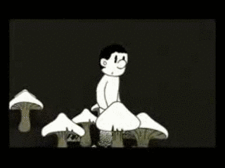 ふたしかたしかの画像