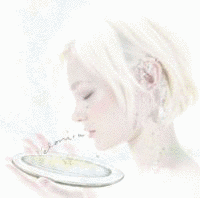 VELONICAの画像