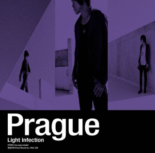 LIGHT INFECTIONの画像