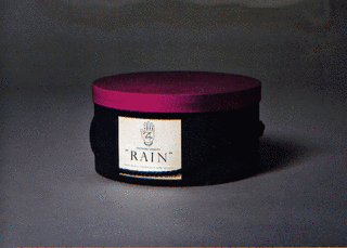 RAINの画像