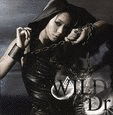 WILD/DR.の画像