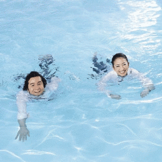 生きてゆくのですの画像