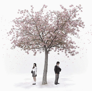 終わりと始まり/LOST BOYの画像