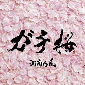 ガチ桜の画像