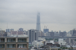 スカイツリーは雲の上の画像