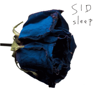 SLEEPの画像