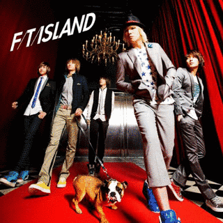 FLOWER ROCKの画像