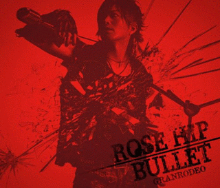ROSE HIP-BULLETの画像