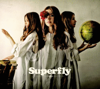 WILDFLOWER & COVER SONGS:COMPLETE BEST 'TRACK 3'の画像