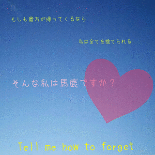 忘れられない恋の画像