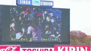 WE ARE THE SWALLOWSの画像