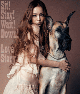 SIT! STAY! WAIT! DOWN!/LOVE STORYの画像