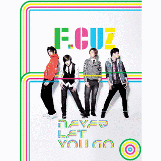 NEVER LET YOU GOの画像