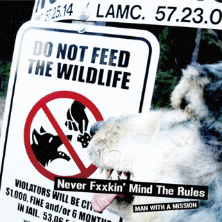 NEVER FXXKIN' MIND THE RULESの画像