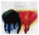 HATCHING MAYFLIESの画像