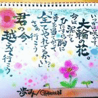 花唄の画像