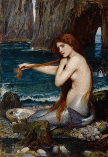 MERMAIDの画像