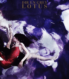 LOTUSの画像