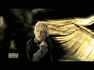 WINGS OF THE LEGENDの画像