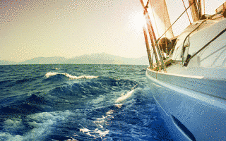 SAILINGの画像