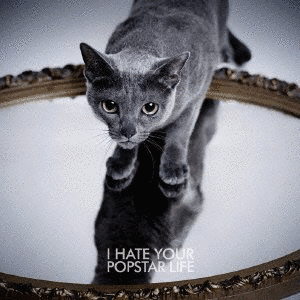 I HATE YOUR POPSTAR LIFEの画像