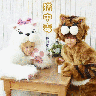 猫中毒の画像