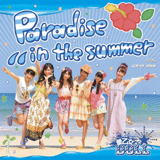 PARADISE IN THE SUMMERの画像