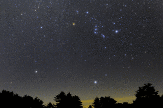 星影の画像