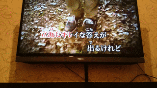 HARMONIZED FINALEの画像