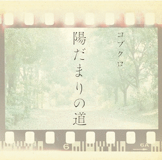 陽だまりの道の画像