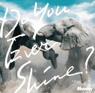 DO YOU EVER SHINE?の画像