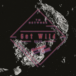GET WILD 2015の画像