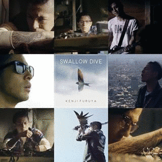 SWALLOW DIVEの画像