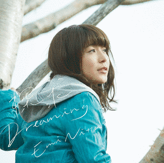 探求DREAMINGの画像