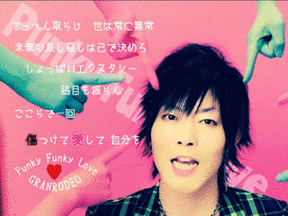 PUNKY FUNKY LOVEの画像