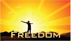 FREEDOM×FREEDOMの画像
